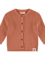 Babyface baby cardigan, terra, NWB23429330