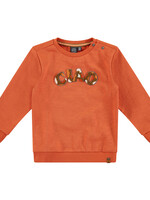 Babyface boys sweatshirt, grapefruit, BBE23407451