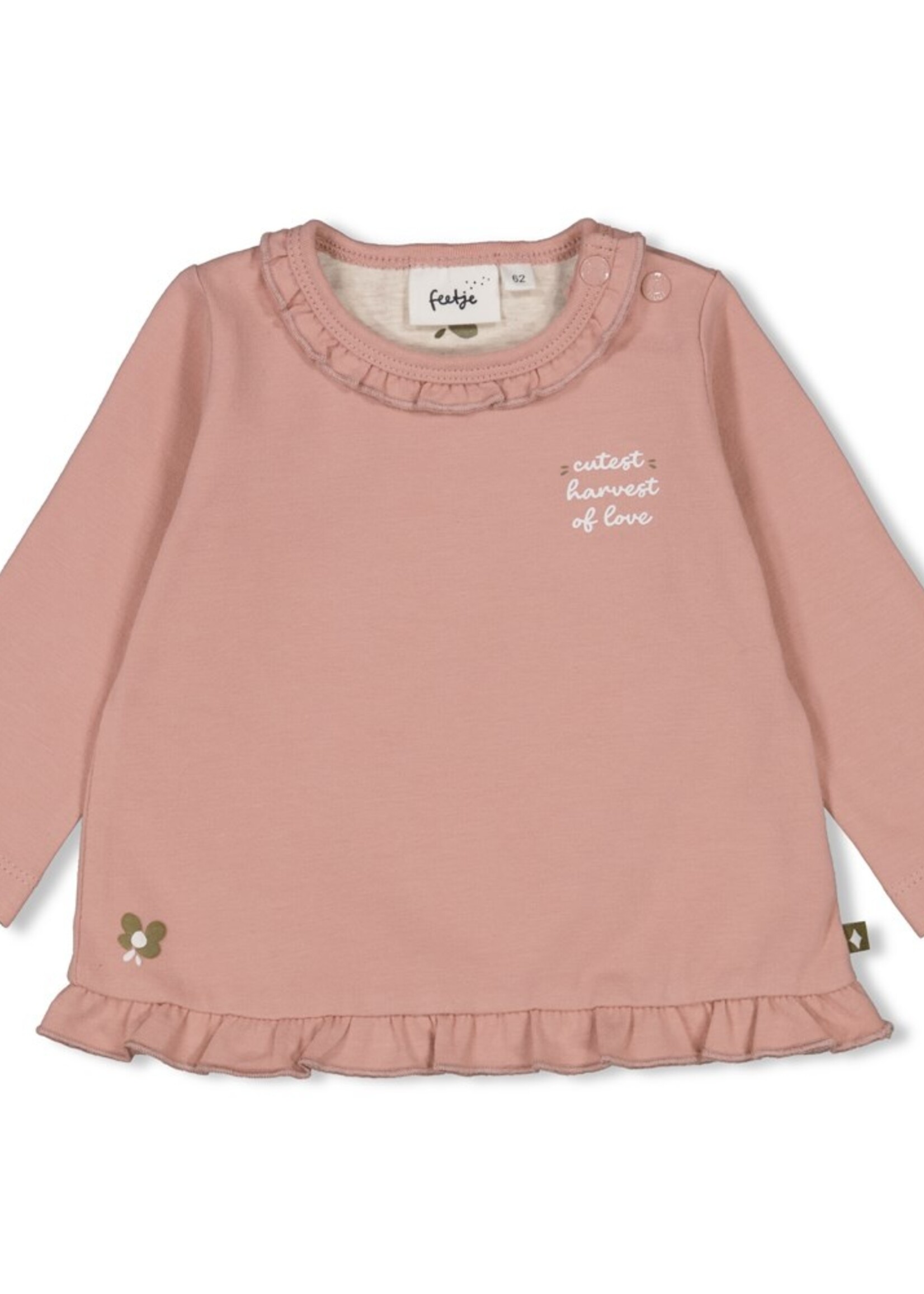 Feetje Longsleeve - Harvest Of Love, Mauve