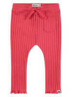 Babyface girls rib legging, red, BBE24528232