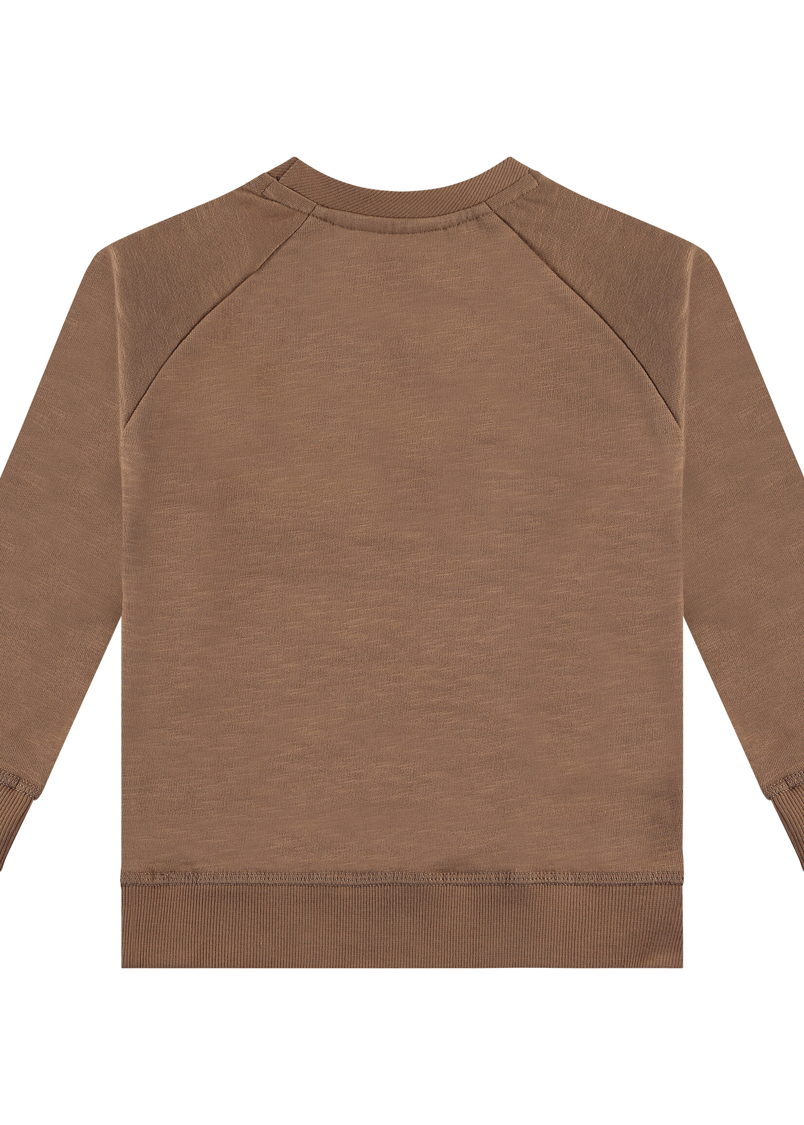 Stains and Stories boys sweatshirt, caramel, SSA24407451