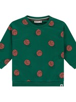 Babyface baby boys sweatshirt, turtle, BBE25527423