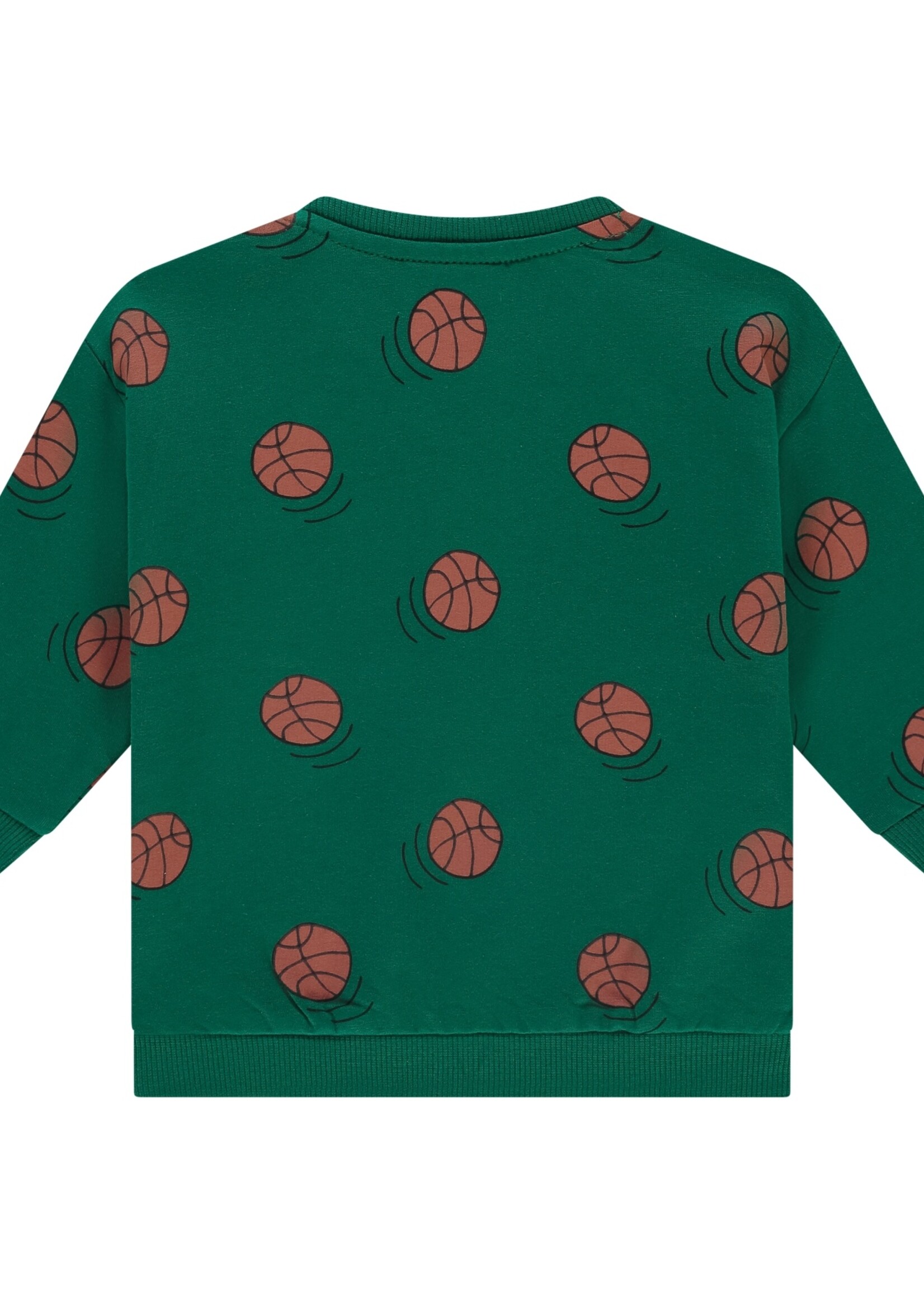 Babyface baby boys sweatshirt, turtle, BBE25527423