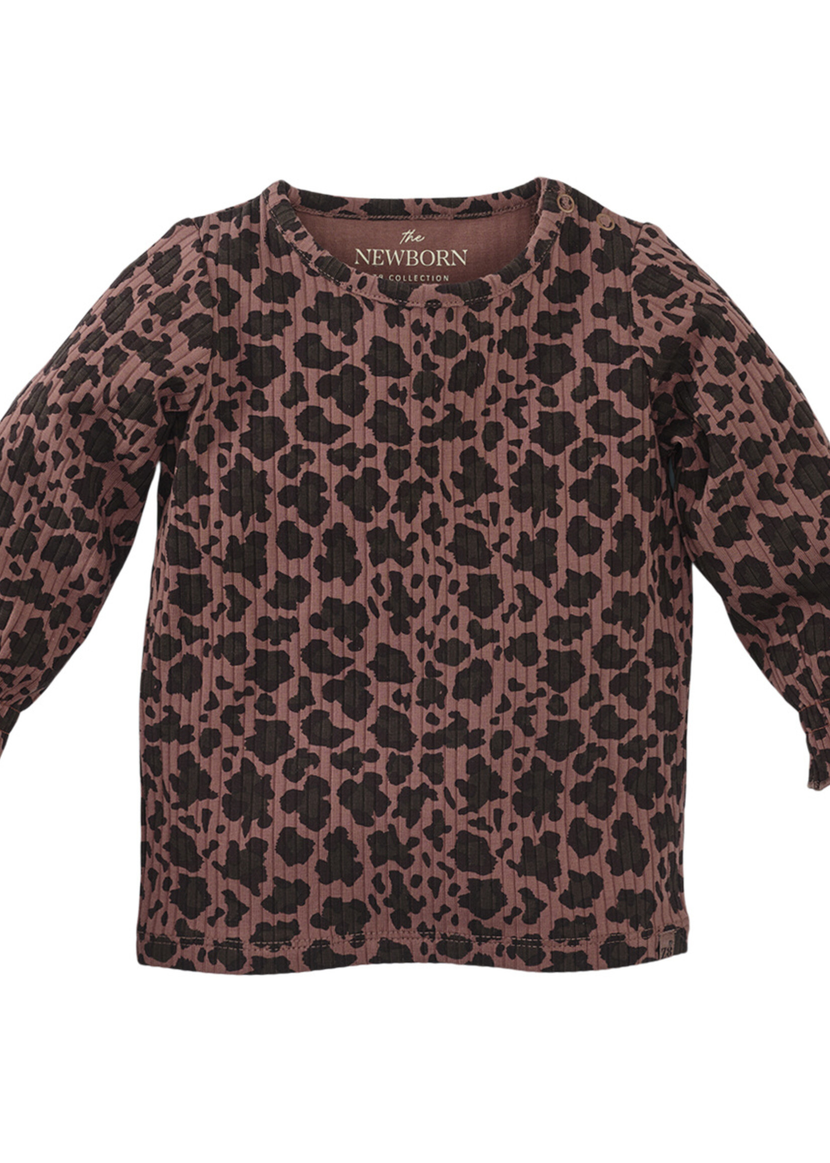 Z8 Perla, Amber brown/AOP