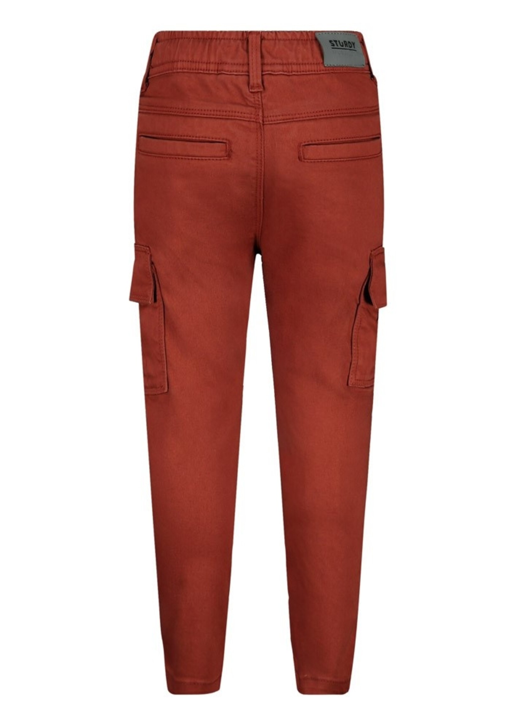 Sturdy Cargo broek - Chasing Trails, Roest