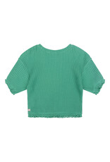 Daily7 T-shirt Fancy Rib Green Sea-649