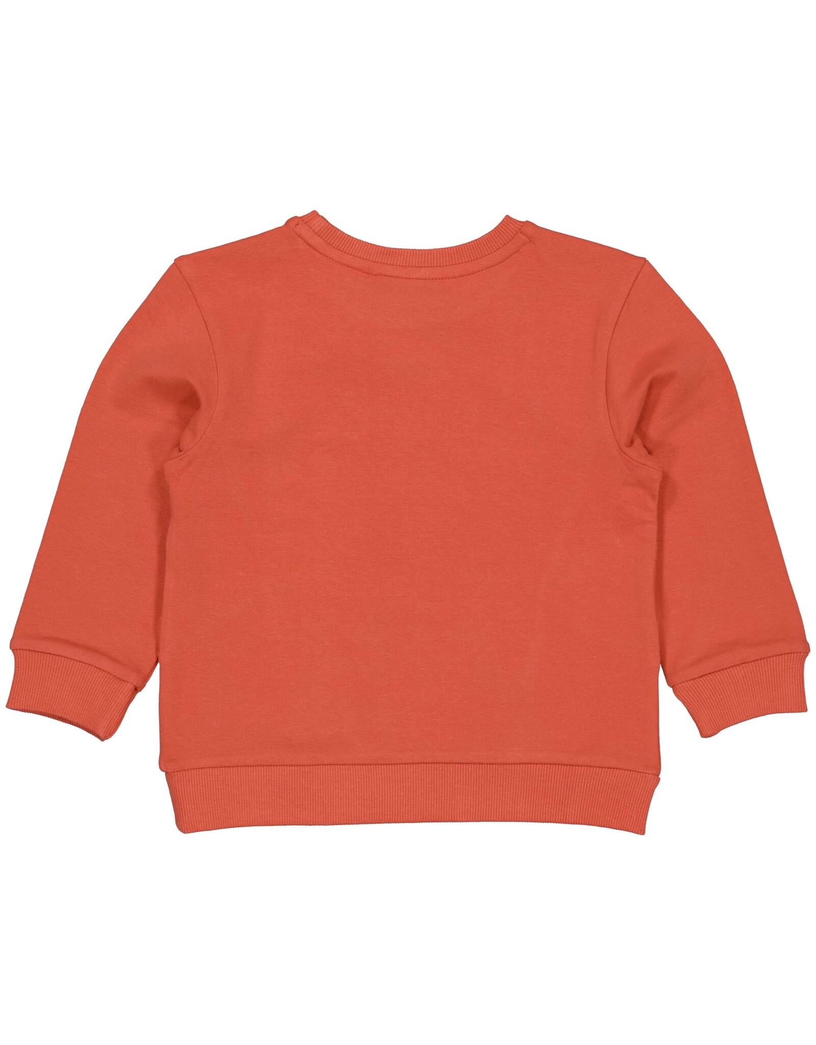 Levv Labels Little Boys Sweater Orange Red MENNOLS241