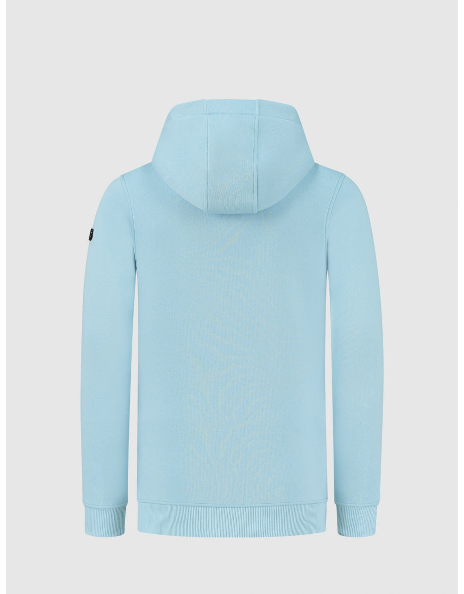 Ballin Amsterdam Hoodie with frontprint Lt Blue 24017309