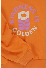 LOOXS Little pulls/sweats/card Little sweater Orange