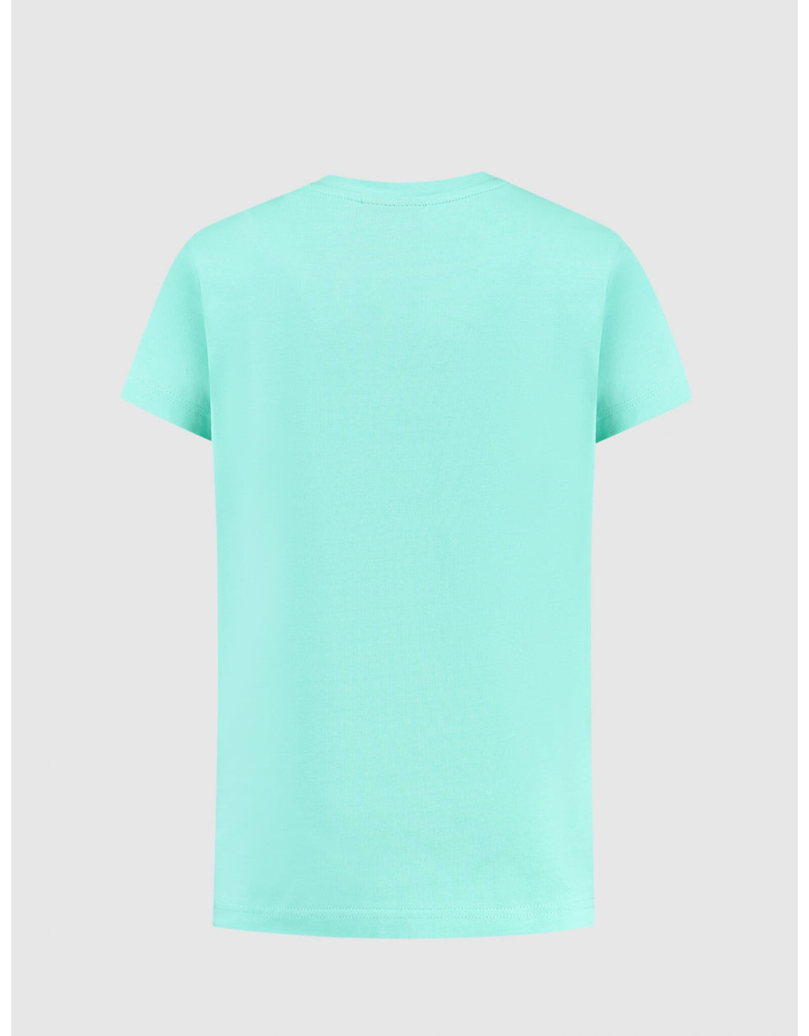 Ballin Amsterdam T-shirt with frontprint Dark Mint 24017120