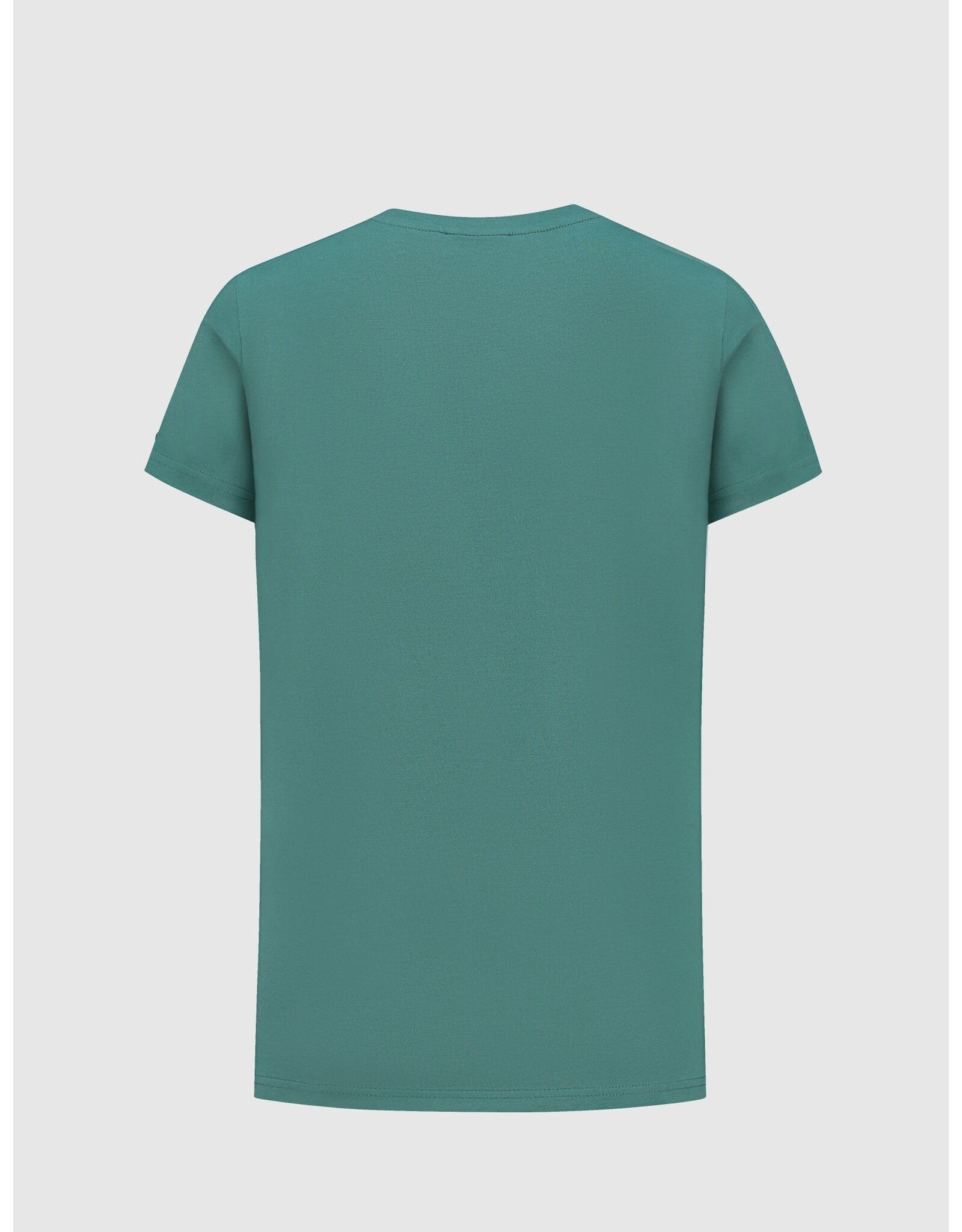 Ballin Amsterdam T-shirt with frontprint Faded Green 24017117