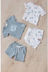 Feetje Short AOP - Turtelly Cool Offwhite 52100417