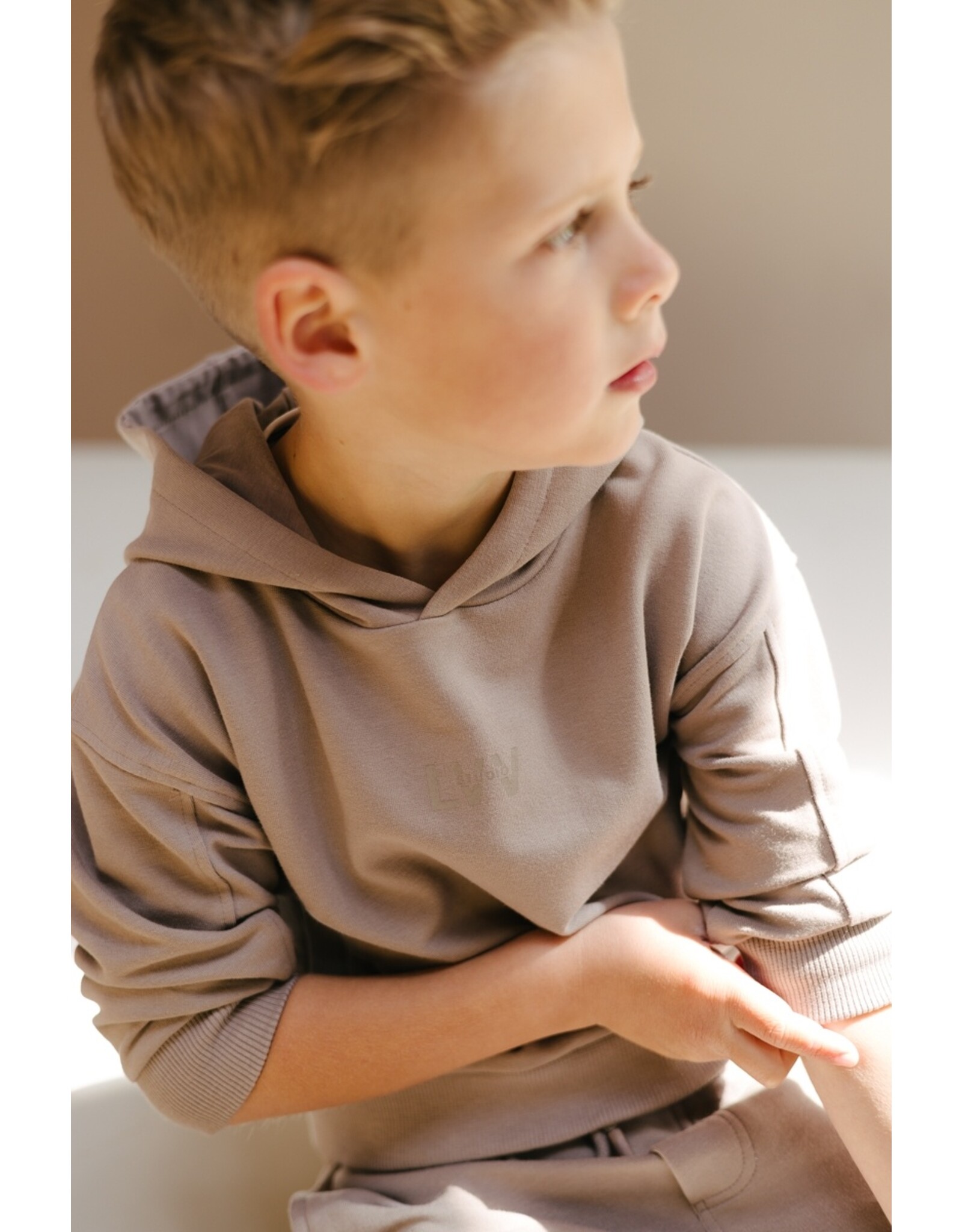 Levv Labels Little Boys SWEATER Taupe LS251SJON