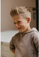 Levv Labels Little Boys SWEATER Taupe LS251SJON