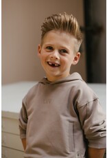 Levv Labels Little Boys SWEATER Taupe LS251SJON