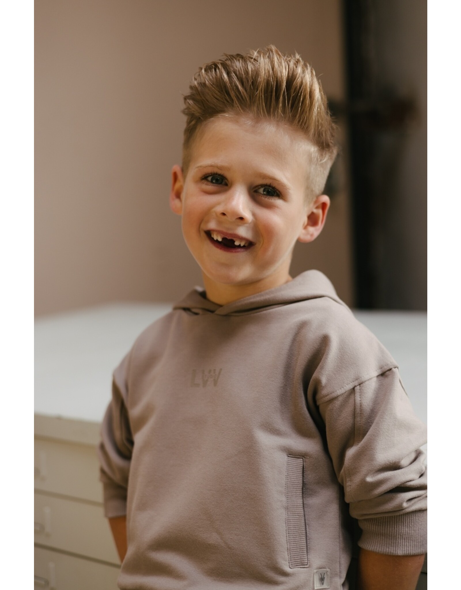 Levv Labels Little Boys SWEATER Taupe LS251SJON
