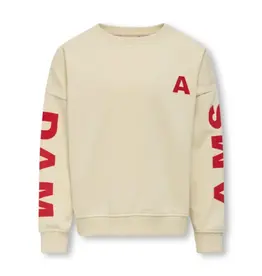 Kids Only 15354970 KOGDITTE LIFE OVZ L/S STATE CS SWT Birch