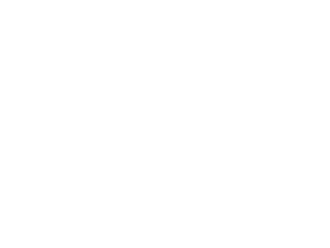 Petrol Industries