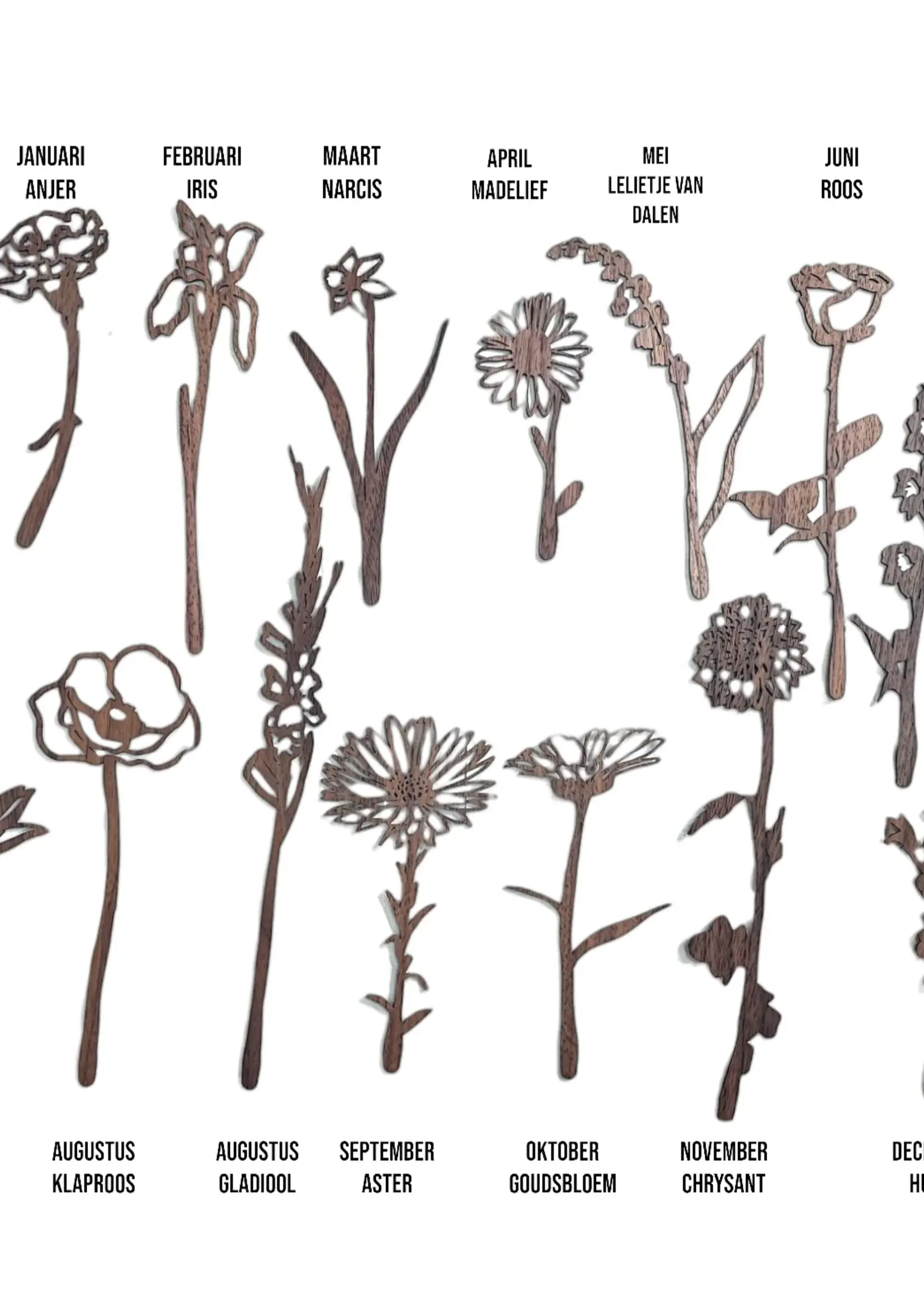 Joeff Levensbloem Walnoothout