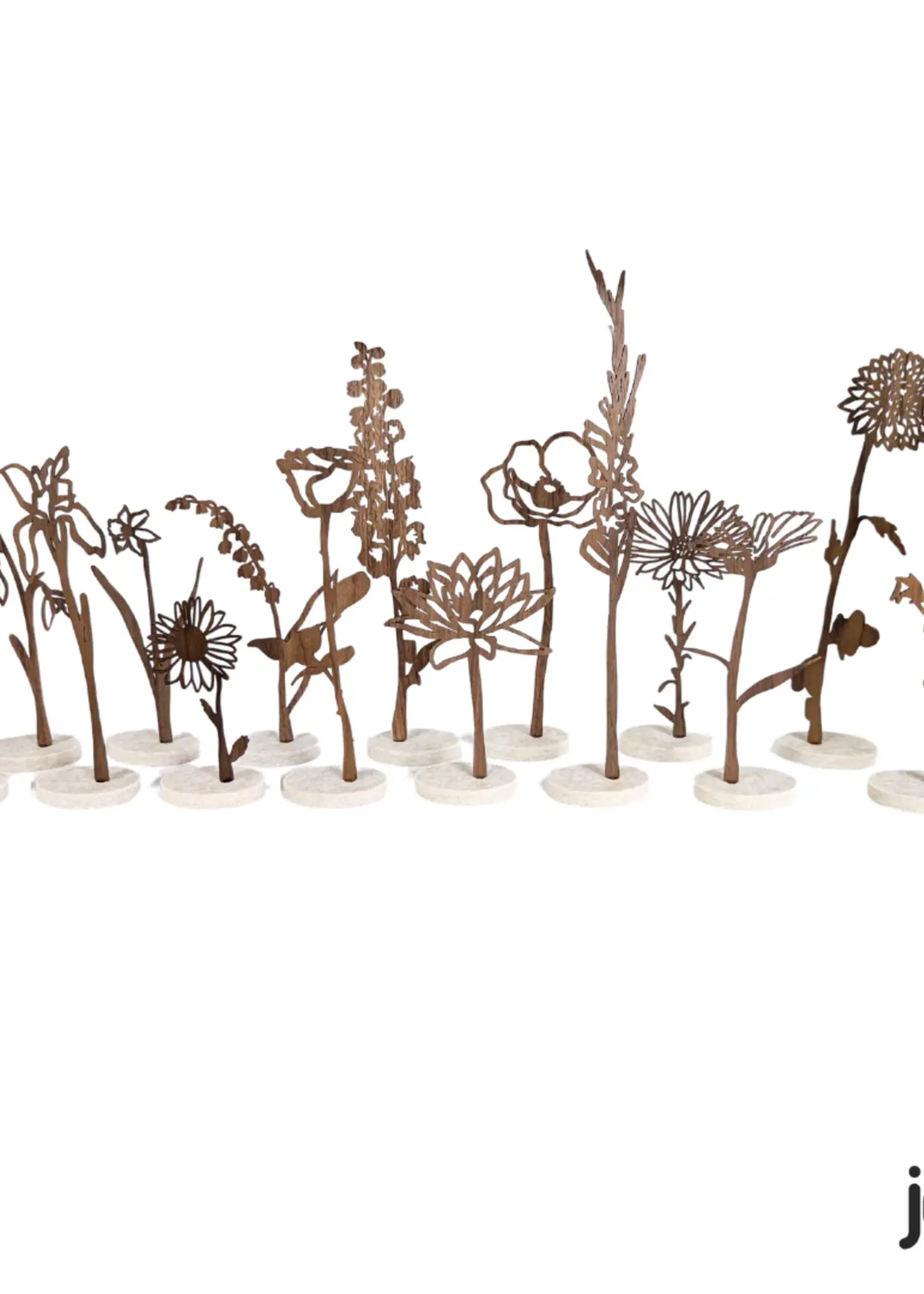 Joeff Levensbloem Walnoothout