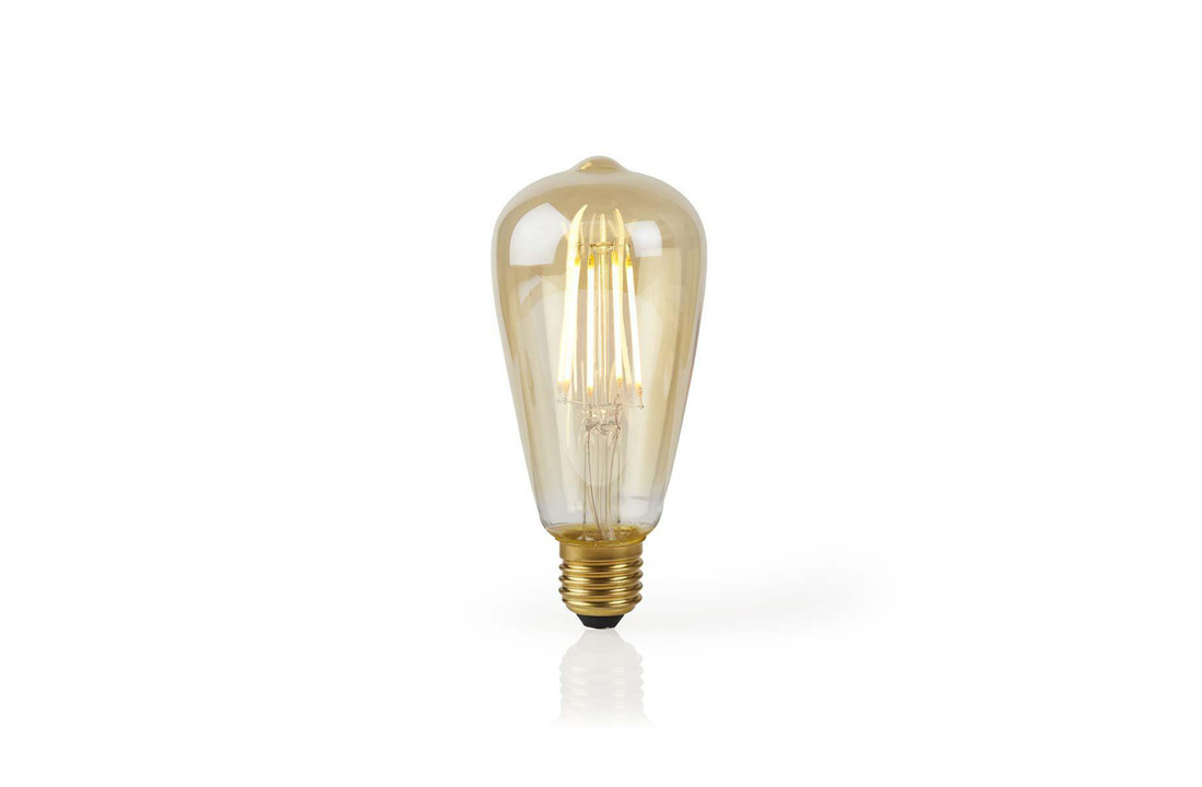 Nedis WIFILF10GDST64 Wi-fi Smart Led-lamp Met Filament E27 St64 5 W 500 Lm