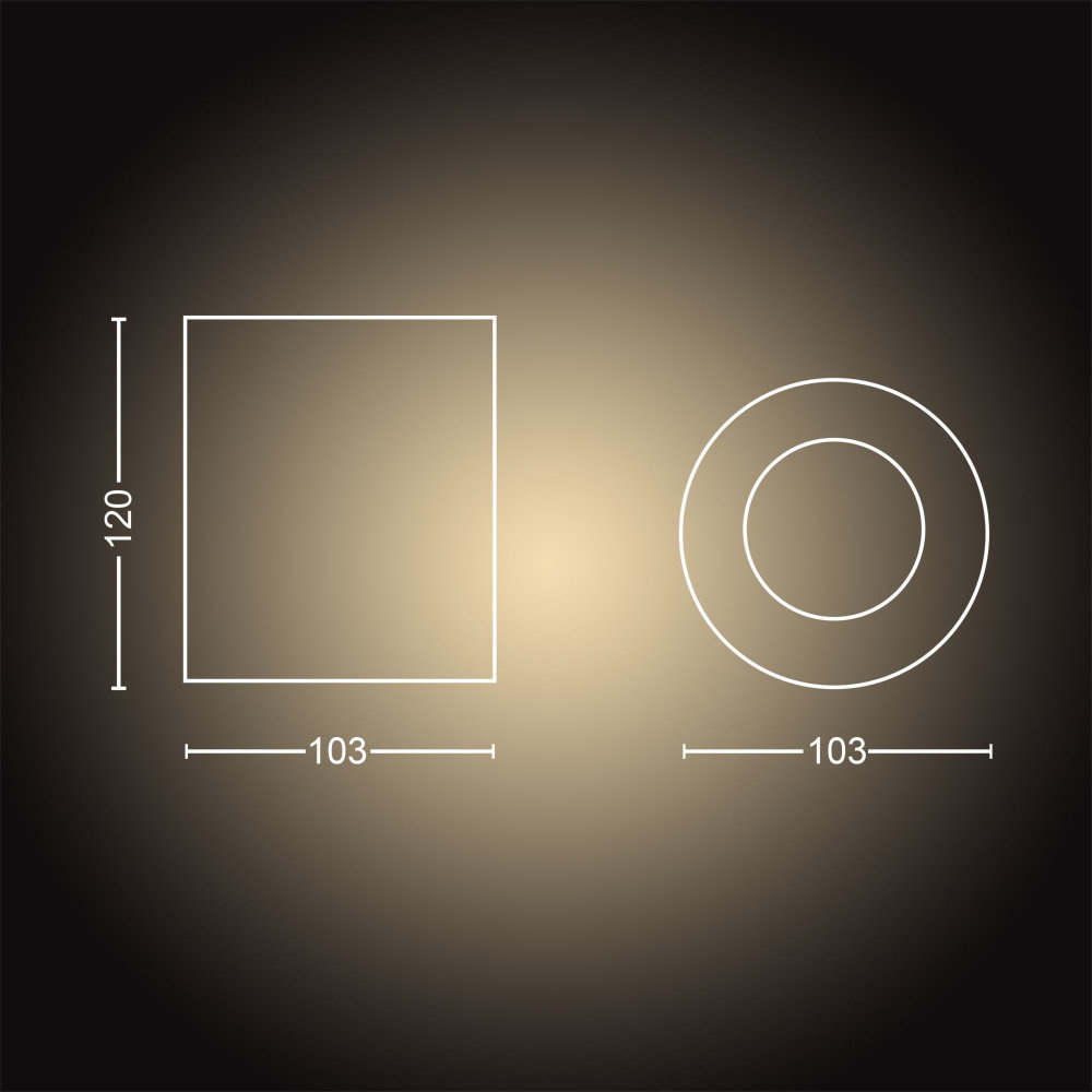 Philips Hue Pillar ext. spot single wht