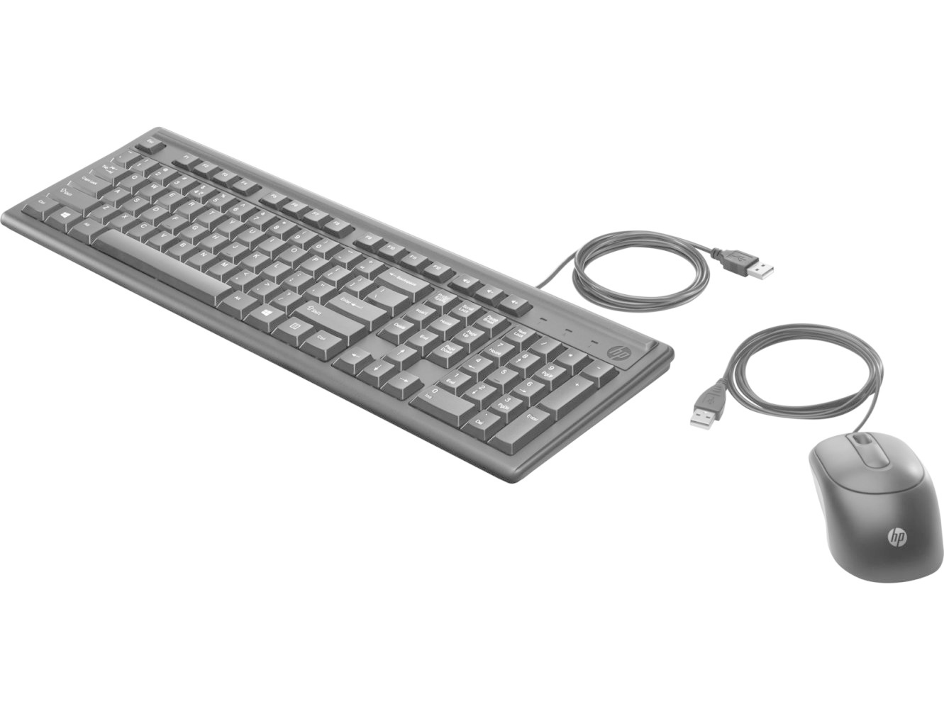 HP 160 toetsenbord USB QWERTY Engels Zwart
