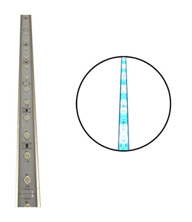 76 CM Coral Blau/Weiß