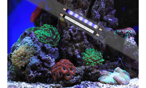 Marine LED