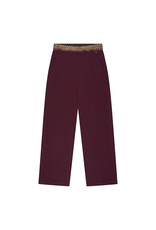 Green ICE 13 broek Green ICE Trento aubergine