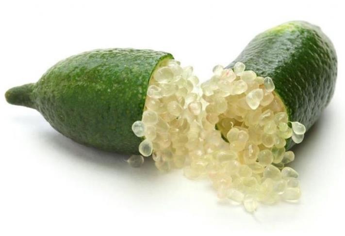 Mila d'Opiz Vegan Green Caviar Limettenperle