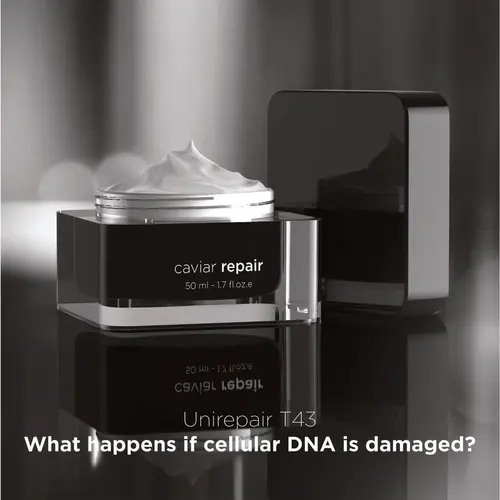 Ekseption Skincare Ekseption Caviar repair cream 50 ml Ekseption Skincare Ekseption Caviar repair cream 50 ml