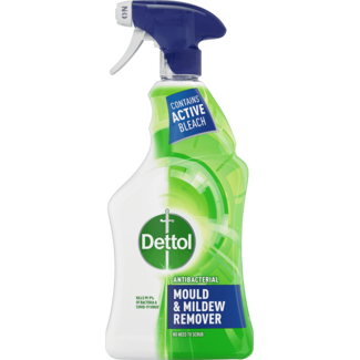 Dettol Mould & Mildew 750ml