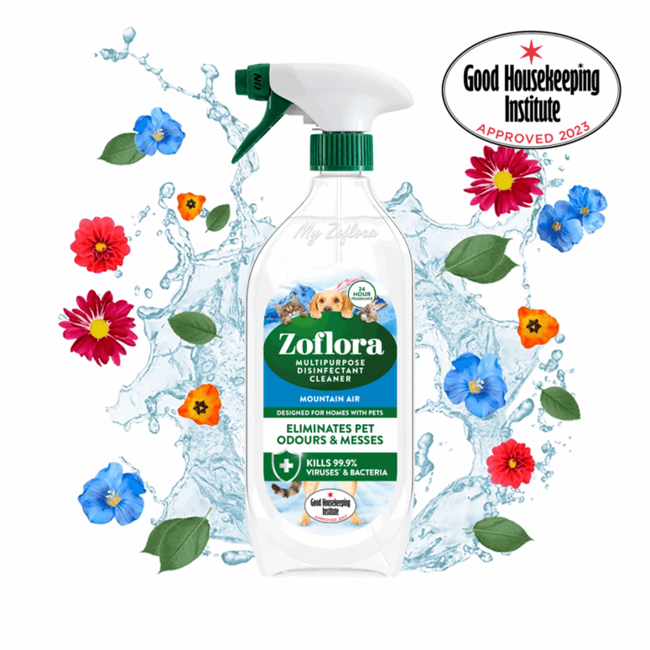 Disinfectant Mountain Air 800ml