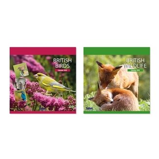 2026 Square Calendar