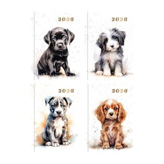 Pocket Diary WTV