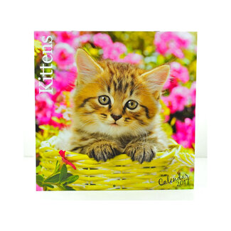 Square Calendars Puppies / Kittens