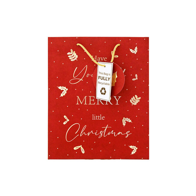 Merry Xmas Medium Gift Bag