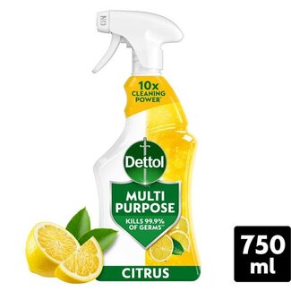 Dettol Lemon & Lime Burst Antibacterial Spray 750ml