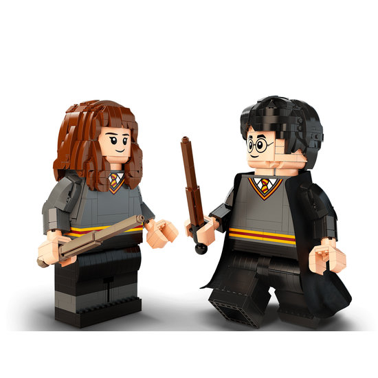 LEGO 76393 Harry Potter & Hermelien Griffel