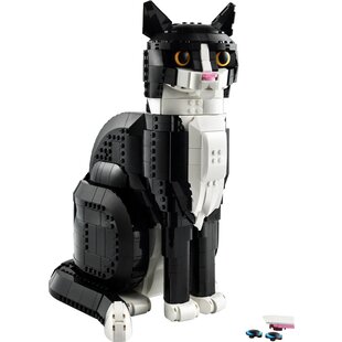 21349 Zwart-witte kat