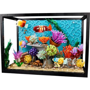 10366 Tropisch aquarium