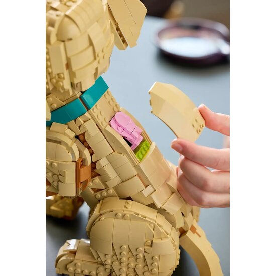LEGO 11384 Golden retriever puppy