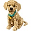 LEGO 11384 Golden retriever puppy