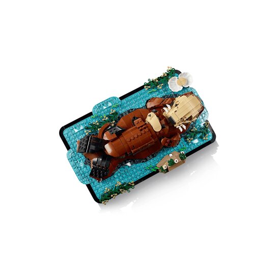 LEGO 21366 Drijvende zeeotters