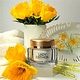Lady Esher cosmetica  Exclusive crème 50 ml Lady Esther