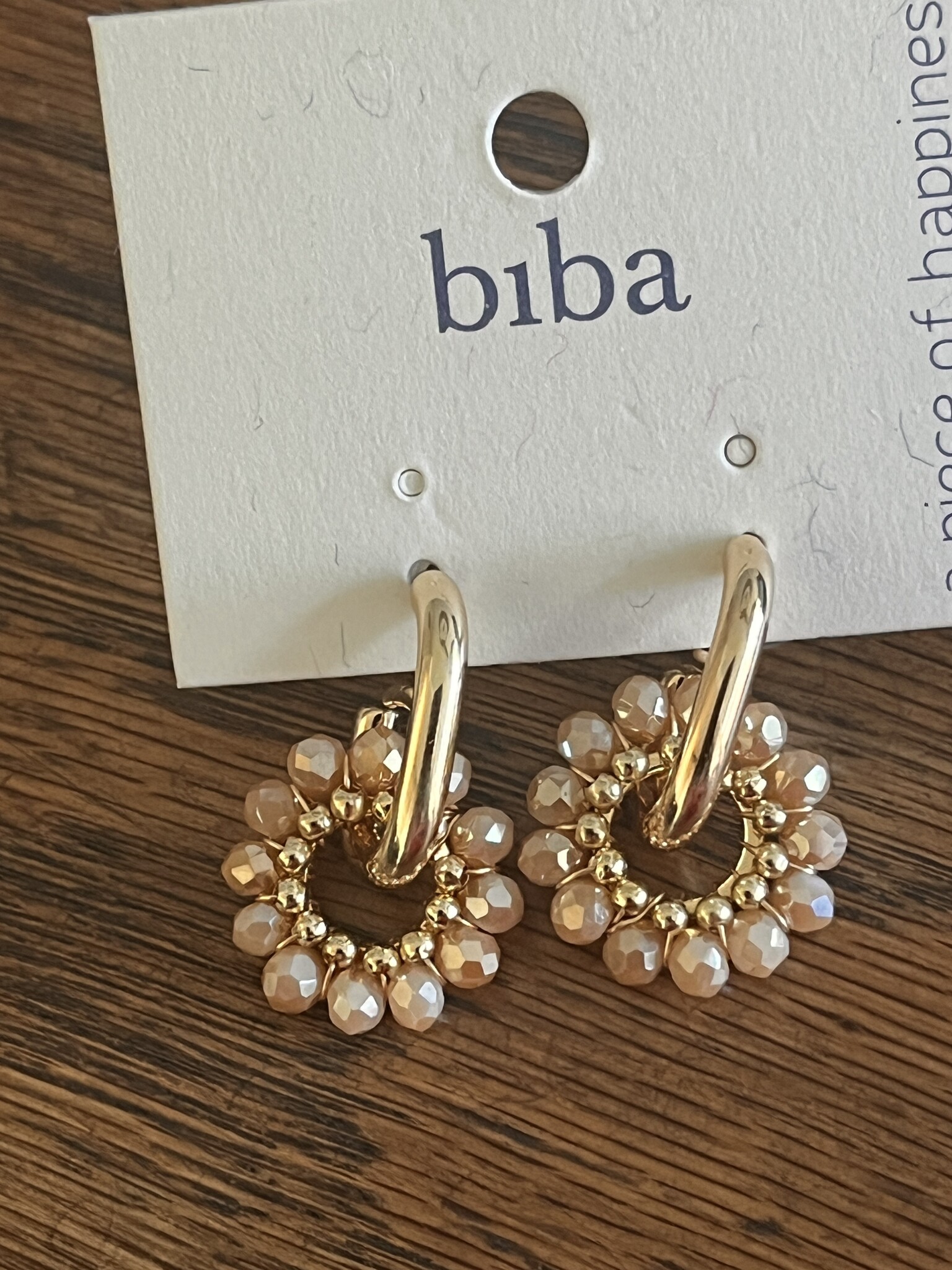 Biba Oorbellen Biba goud/bruin