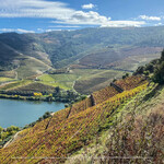 Quinta do Crasto