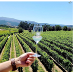 Quinta da Raza