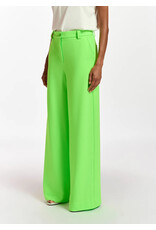 Essentiel Antwerp Wide Leg Pants Fall Green Lizard